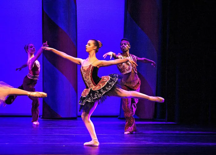 Roudnev Ballet Training Picture 3