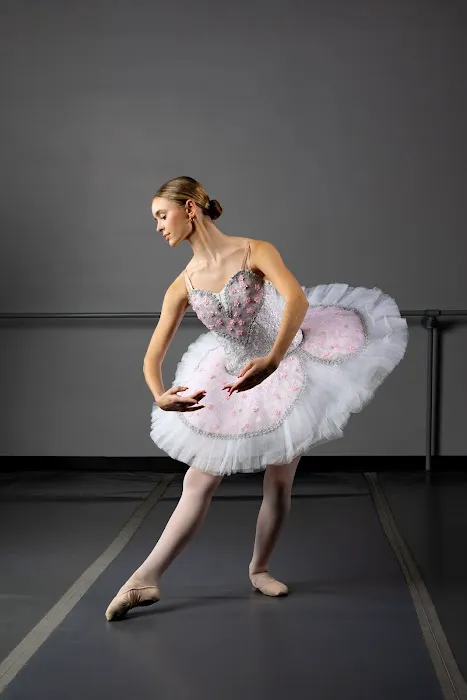 Roudnev Ballet Training Picture 4