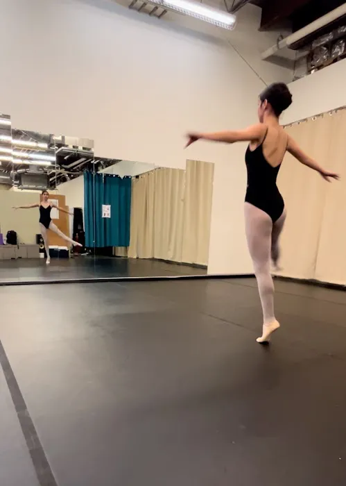 Roudnev Ballet Training Picture 6