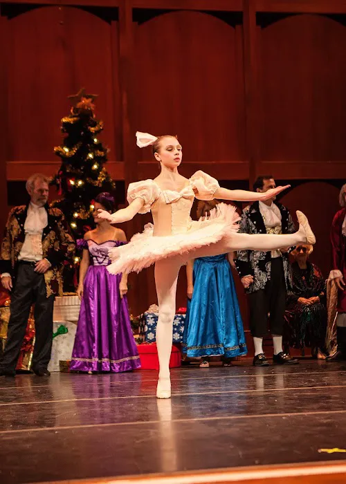 Roudnev Ballet Training Picture 9