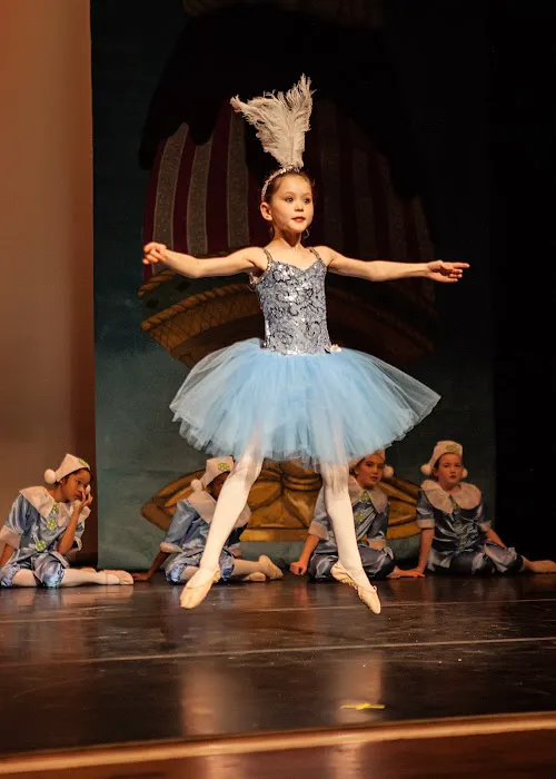 Roudnev Ballet Training Picture 7