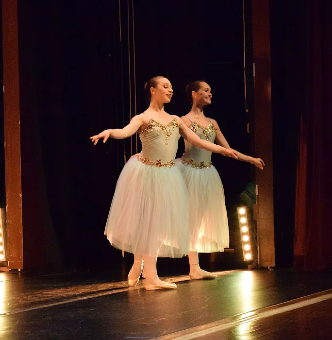 Roudnev Ballet Training Picture 8