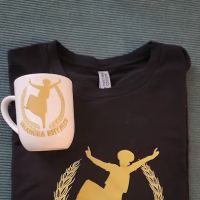 Bhangra Classes ico
