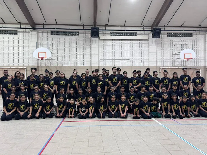 Bhangra Classes Picture 2