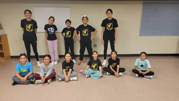 Bhangra Classes Picture 6