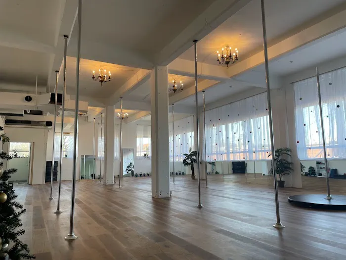 Pole Factory MKE Picture 8