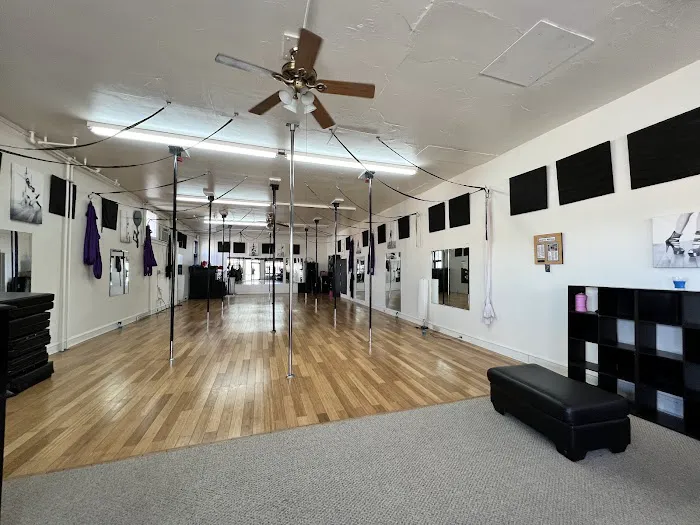 BLUSH Pole Fitness & Dance, LLC Picture 2