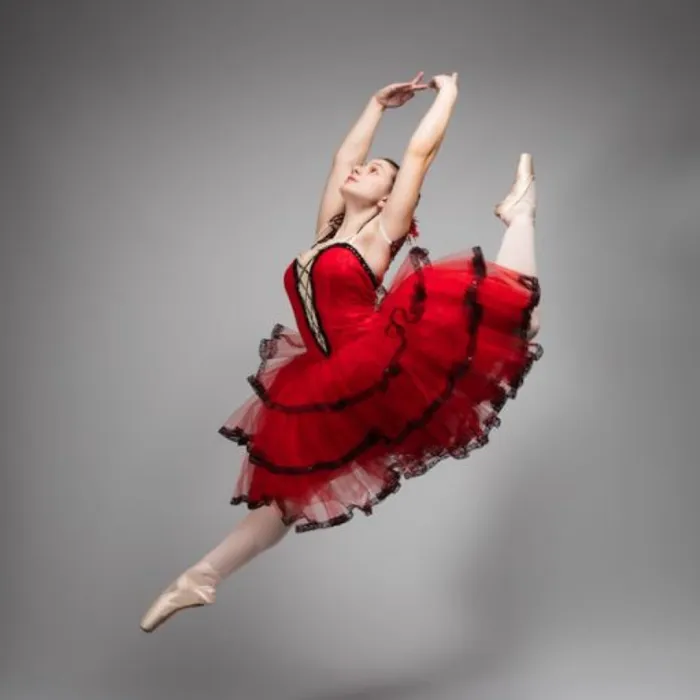 Wisconsin Dance Theatre Picture 7