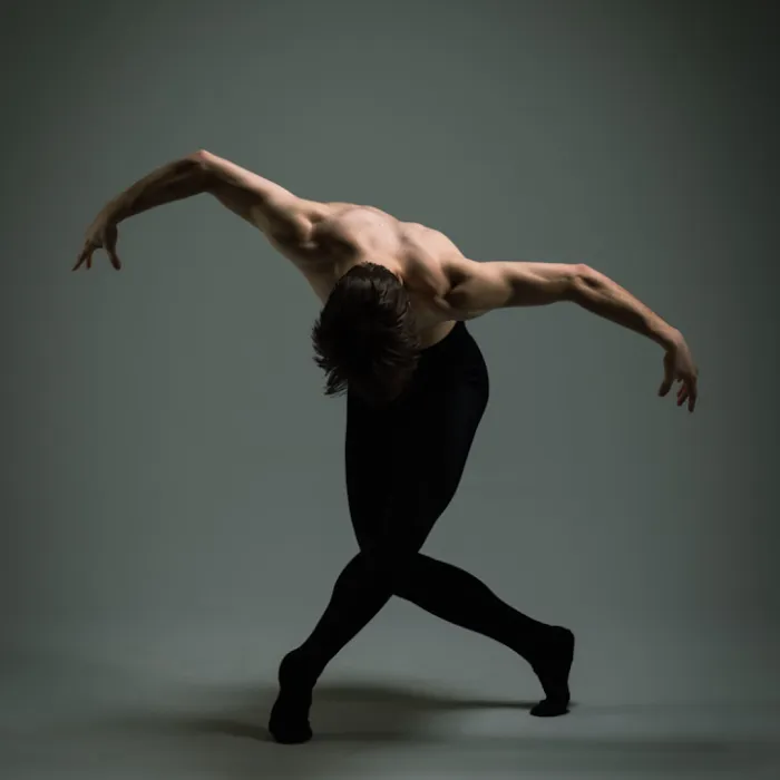 Wisconsin Dance Theatre Picture 6