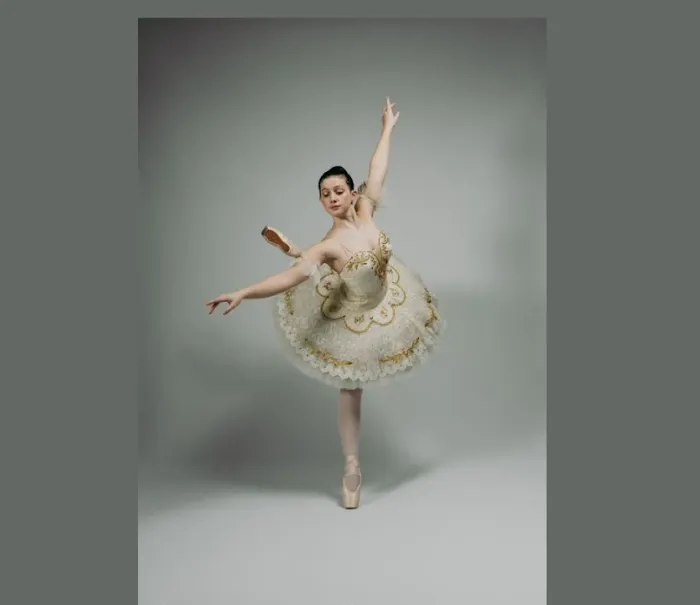 Wisconsin Dance Theatre Picture 4