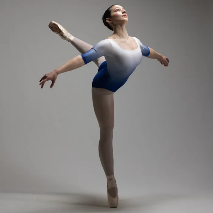 Wisconsin Dance Theatre Picture 1