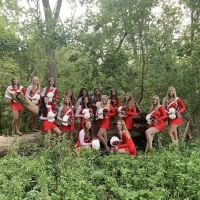 Sparklers Dance Teams ico