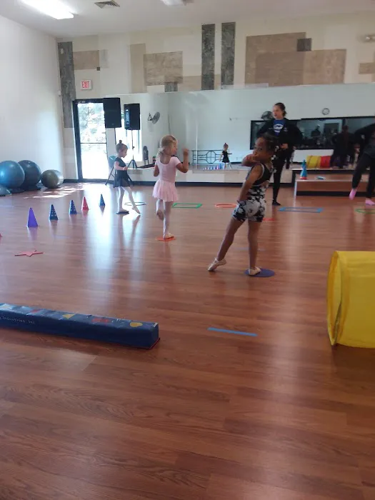New Vybe Fitness Studios Picture 1