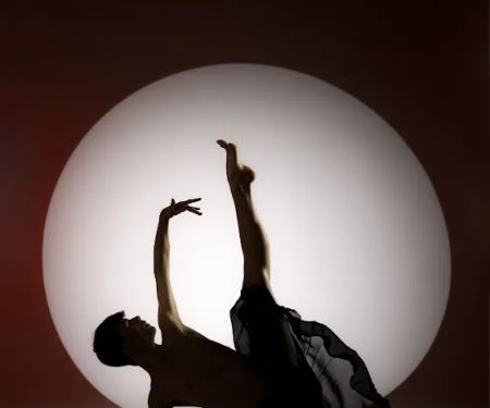 Madison Professional Dance Center, LLC