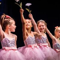 Kehl School of Dance ico