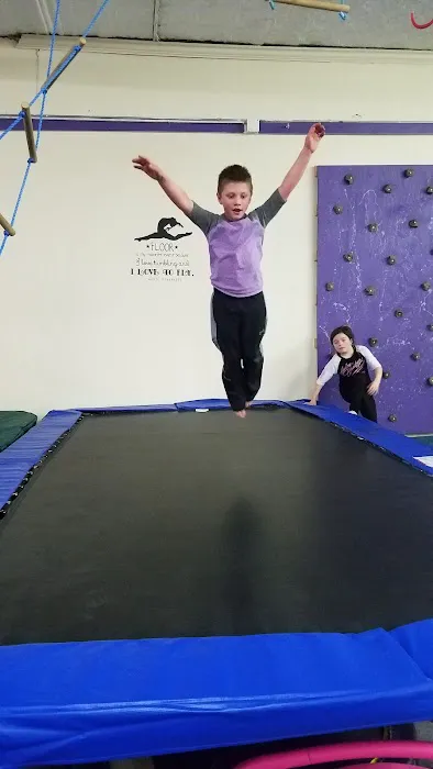 Stoughton Gymnastics Picture 8