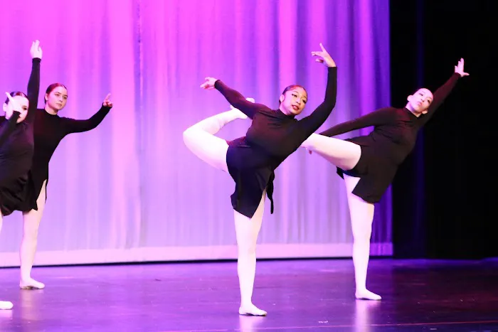 Academy of Dance Arts Picture 2