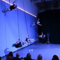 Cycropia Aerial Dance ico