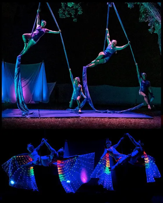 Cycropia Aerial Dance Picture 3