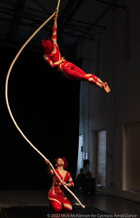Cycropia Aerial Dance Picture 6