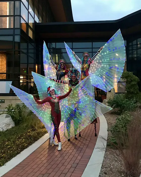 Cycropia Aerial Dance Picture 9