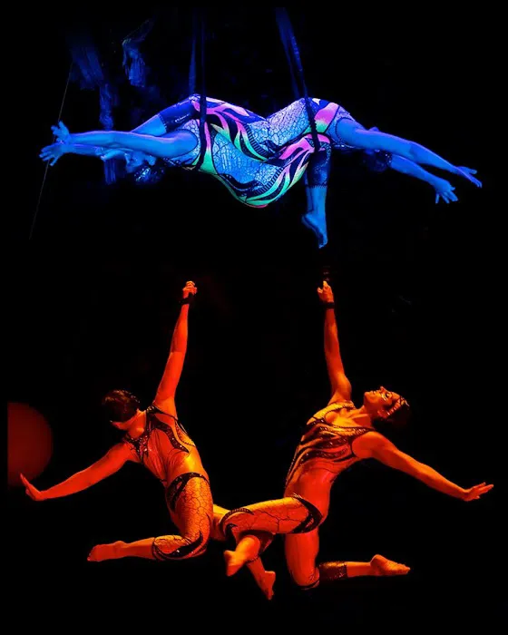 Cycropia Aerial Dance Picture 7