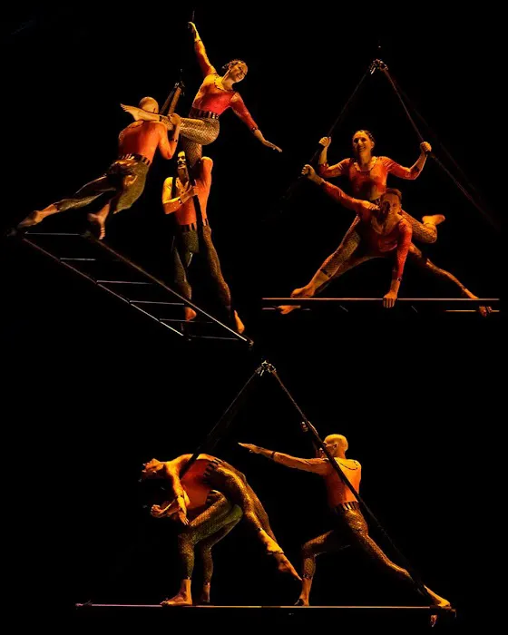 Cycropia Aerial Dance Picture 10