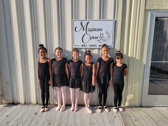 Magnum Opus School of the Arts Picture 5