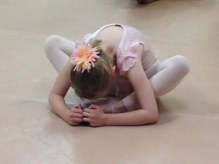 Storybook Ballet Picture 5