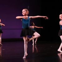 Central Midwest Ballet Academy ico