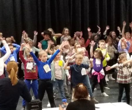 Verona Area Community Theater