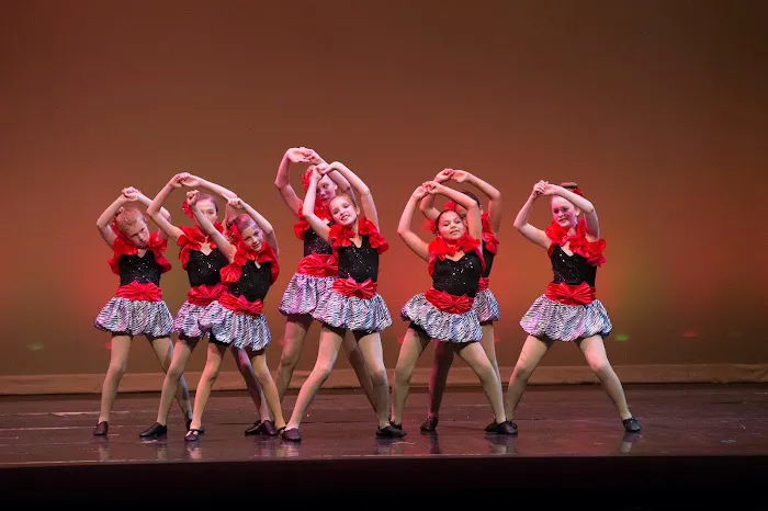 Sycamore Performing Arts Academy Picture 2