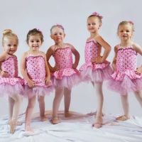 Sycamore Performing Arts Academy ico