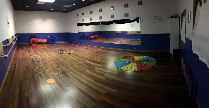 Northern Illinois Dance Center Picture 2