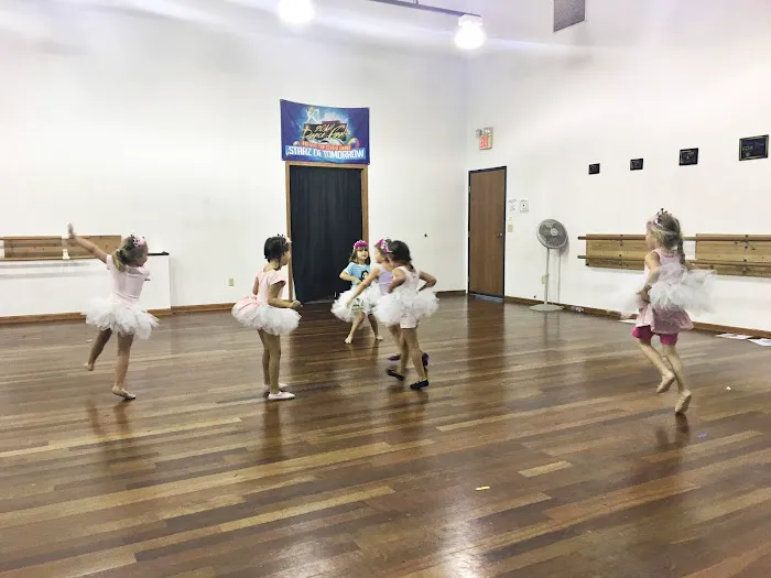 Northern Illinois Dance Center Picture 4