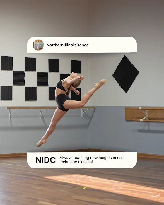 Northern Illinois Dance Center Picture 5
