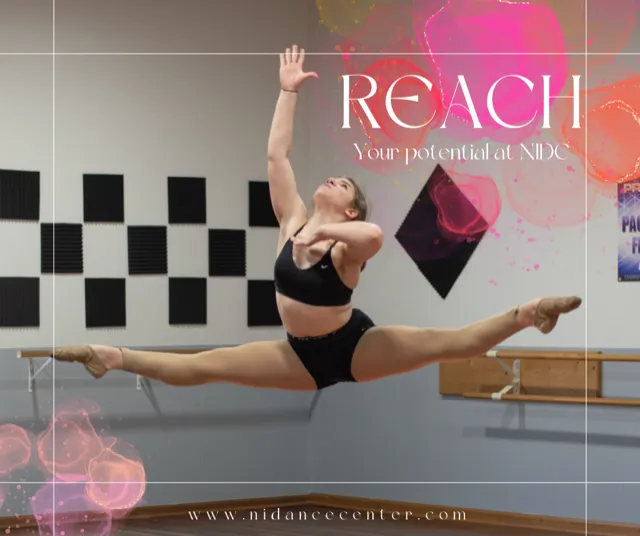 Northern Illinois Dance Center Picture 7