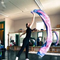 DanceCircus ico