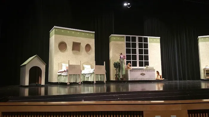 Sun Prairie East Performing Arts Center Picture 6
