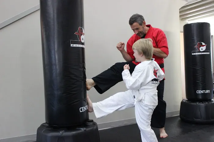 Kicks Unlimited - Martial Arts, After School, Camp Picture 1