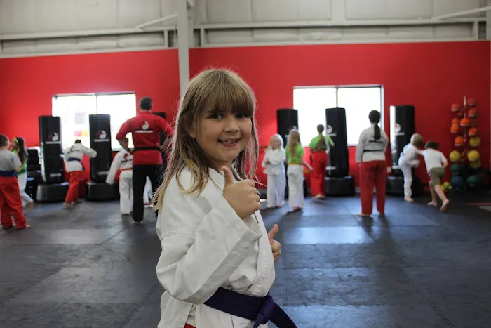 Kicks Unlimited - Martial Arts, After School, Camp Picture 2