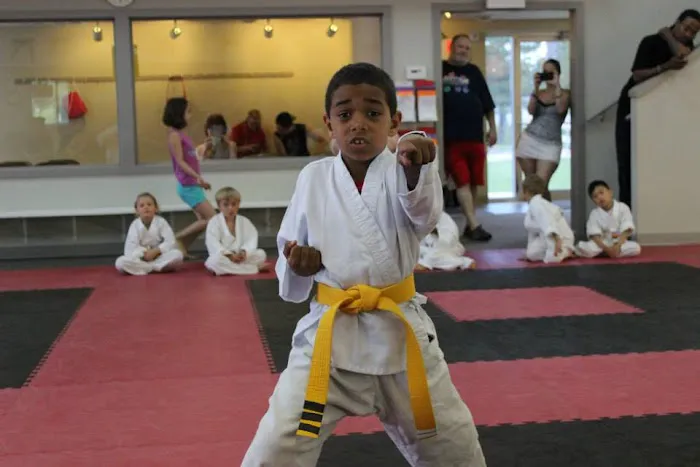 Kicks Unlimited - Martial Arts, After School, Camp Picture 4