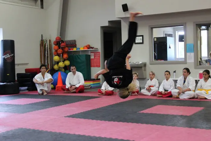 Kicks Unlimited - Martial Arts, After School, Camp Picture 7