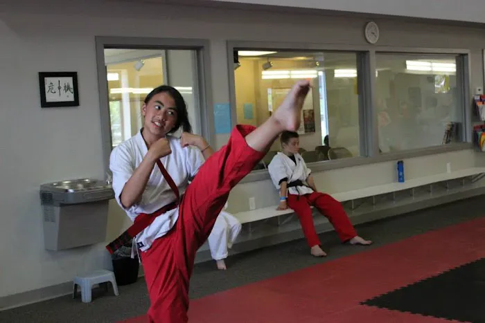 Kicks Unlimited - Martial Arts, After School, Camp Picture 9