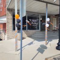 Shelley's Dance Studio ico