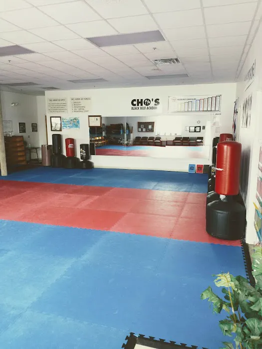 Cho's Black Belt Academy Picture 8