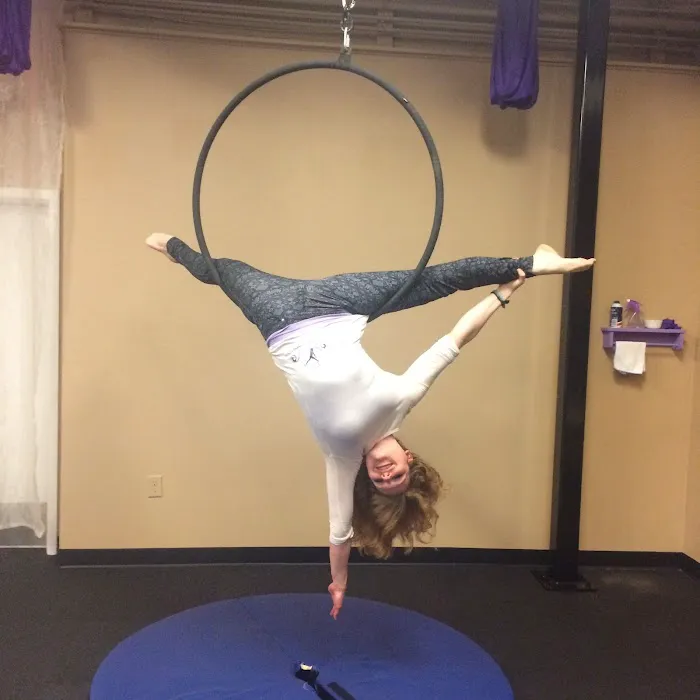 Aerial Dance WI Picture 2