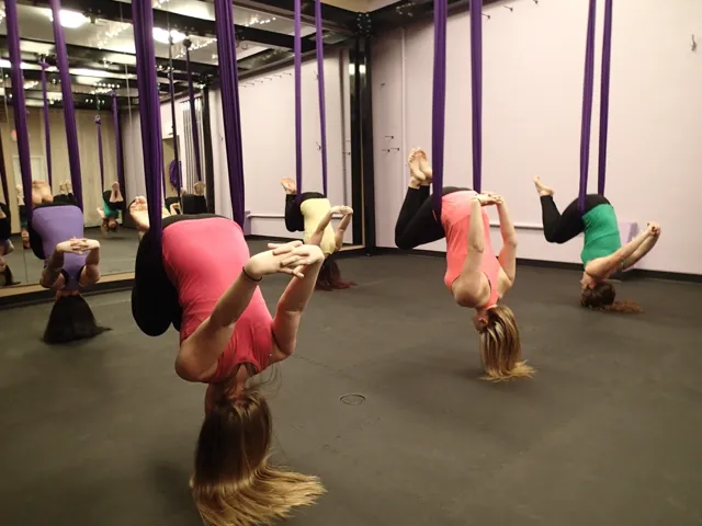 Aerial Dance WI Picture 4