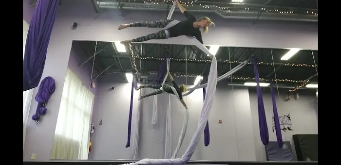 Aerial Dance WI Picture 6