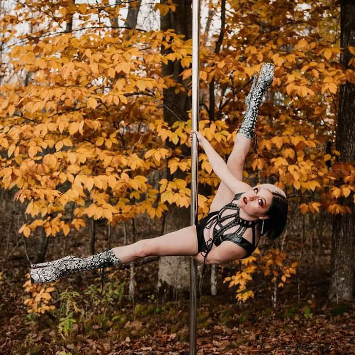 Aerial Dance WI Picture 7
